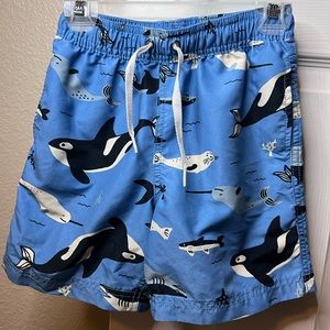 Boys Swim Trunks